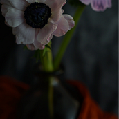 Il mio progetto del corso: Fotografia still life: natura morta in chiaroscuro. Product Photograph, Fine-Art Photograph, and Food Photograph project by Pierluca Vivaldini - 04.18.2024