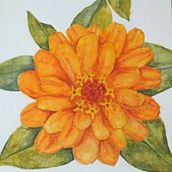 Mi proyecto del curso: Ilustración botánica con acuarela. Traditional illustration, Fine Arts, Painting, Drawing, Watercolor Painting, and Botanical Illustration project by Camila Martinez Lopez - 04.24.2024