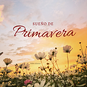 Mi proyecto: "Sueño de primavera" 🦋 .  Diseño de arreglos con flores de temporada.. Interior Design, L, scape Architecture, Decoration, DIY, Floral, Plant Design, and Events project by edenalrd - 04.26.2024
