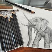 Mi proyecto del curso: Imágenes realistas de vida salvaje con lápiz de grafito. Fine Arts, Pencil Drawing, Drawing, Realistic Drawing, and Naturalistic Illustration project by Camilo Beltran - 04.27.2024