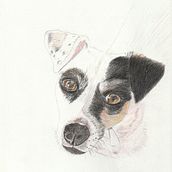 Mi proyecto del curso: Retratos de Mascotas en Lápices de Colores. Un proyecto de Ilustración tradicional e Ilustración naturalista				 de martacabrera62 - 26.04.2024