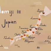 Momiji in Japan. Un proyecto de Infografía, Dirección de arte, Dibujo digital, Ilustración digital, Ilustración editorial, Lettering digital y Lettering de Cris Tamay - 01.01.2024