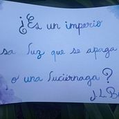 Mi proyecto del curso: Caligrafía itálica con brush pen. Calligraph project by Carolina Capurro - 04.26.2024