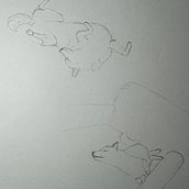 My project for course: Dynamic Animal Illustration for Children’s Stories. Un progetto di Character design, Disegno a matita, Disegno e Illustrazione infantile di tiffanyddo - 30.04.2024