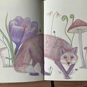 My project for course: Surrealist Illustration Inspired by Nature. Un progetto di Illustrazione tradizionale, Disegno a matita, Disegno, Disegno artistico, Illustrazione naturalistica e Disegno con matite colorate di feywish - 01.05.2024