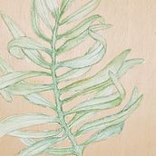 Mi proyecto del curso: Técnicas artísticas para ilustración naturalista. Un proyecto de Ilustración tradicional, Pintura a la acuarela, Pintura acrílica, Ilustración botánica, Ilustración con tinta y Dibujo con lápices de colores de martacabrera62 - 01.05.2024