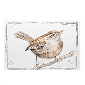 Wren. Watercolor Painting project by silvia_a_rome - 05.02.2024
