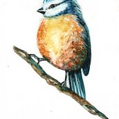 Mi proyecto del curso: Acuarela artística para ilustración de aves. Traditional illustration, Watercolor Painting, Realistic Drawing, and Naturalistic Illustration project by Sandra Milena - 05.03.2024