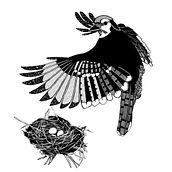 Digital Black and White Birds. Projekt z dziedziny Ilustracja c i frowa użytkownika Michelle Wruck - 04.05.2024