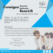 Desarrolladores para RectJS Ein Projekt aus dem Bereich Programmierung, Informatik und Webentwicklung von Delogico Systems - 02.05.2024