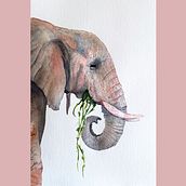 Éléphant Ein Projekt aus dem Bereich Naturalistische Illustration und Aquarellmalerei von Karine LaSalle - 05.05.2024