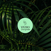 Vivero Presentación. Un proyecto de Br, ing e Identidad, Diseño gráfico, Diseño Web y Diseño para Redes Sociales de IZZA ASPRILLA - 23.04.2024