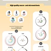 My project for course: Data Visualization and Information Design: Create a Visual Model. Information Design, Interactive Design & Infographics project by cri_giovannini - 05.06.2024