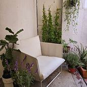 Mi proyecto del curso: TERRAZA. Paisagismo, Design floral e vegetal, e Design de espaços projeto de vans_4523 - 04.05.2024