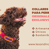 Leo&Indi branding and social media . Un proyecto de Br, ing e Identidad y Diseño para Redes Sociales de Aida Antequera Tarrasó - 07.05.2024