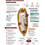 Mi proyecto del curso: Infografías creativas: combina el arte con los datos. Un progetto di Graphic design, Design dell’informazione, Infografica e Design di poster  di Camila Silva Bernal - 07.05.2024