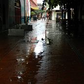 Mi proyecto del curso: Escritura literaria para principiantes: atrévete a escribir tu propio texto. Un proyecto de Escritura, Escritura de ficción y Escritura creativa de MARIA DE LOS ANGELES DIAZ VELASQUEZ - 08.05.2024