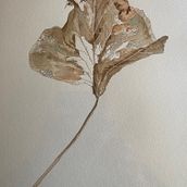 leaves. Un progetto di Illustrazione tradizionale di Sharon Dowson - 08.05.2024