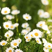 My project for course: Mood Board Creation: Communicate Concepts Effectively. Un progetto di Design, Br, ing, Br, identit, Graphic design, Architettura d'interni, Interior design, Interior Design, Interior Design e Retail Design di barmaremuskan29 - 06.05.2024