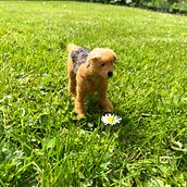 Mijn project van de cursus: Dieren creëren met naaldvilten. Arts, Crafts, To, Design, Fiber Arts, Needle Felting, and Textile Design project by myriam Haverkamp - 05.08.2024