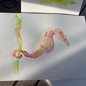 My project for course: Marine Universe Illustration in Watercolor. Traditional illustration, Painting, Watercolor Painting, and Naturalistic Illustration project by Tess Brook - 05.11.2024