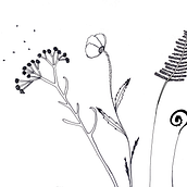 Les Petites Feuilles. Un progetto di Illustrazione tradizionale, Pubblicità e Design di Cécile Campagne - 11.05.2024