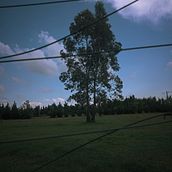Mi proyecto del curso: Introducción a la fotografía narrativa. Un progetto di Fotografia, Stor, telling, Fotografia artistica, Narrativa e Fotografia di interni di Dylan Tobias Perales Herrera - 12.05.2024