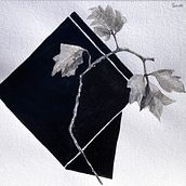 My project for course: Contemporary Botanical Illustration with Ink. Traditional illustration, Artistic Drawing, Botanical Illustration & Ink Illustration project by horsenettle - 05.12.2024