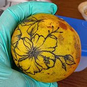My project for course: Introduction to Tattooing. Traditional illustration, Tattoo Design, and Botanical Illustration project by Crystal - 05.12.2024