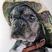 Mi proyecto del curso: Retratos de Mascotas en Lápices de Colores. Un proyecto de Ilustración tradicional e Ilustración naturalista				 de Joseba González Carpallo - 14.05.2024