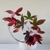 My project for course: Ikebana: flower arrangement for beginners. Projekt z dziedziny Projektowanie wnętrz,  Dekoracja wnętrz, Dekoracja wnętrz, Kompoz i cje kwiatowe i botaniczne użytkownika Яна Сайдашева - 15.05.2024