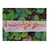 My project for course: Lettering for Embroidered Patches: Make a Wearable Statement. Un proyecto de Bordado, Costura, DIY, Upc, cling y Diseño textil de Olga Mi - 15.05.2024