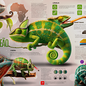 Meu projeto do curso: Criação de infográficos: Na minha terra chama calango, mas é popularmente conhecido como camaleão. Graphic Design, Information Design, Infographics, and Poster Design project by Daniel Menezes - 05.16.2024