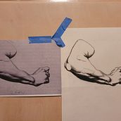 bargue. Un proyecto de Pintura de Yoel Prince - 17.05.2024