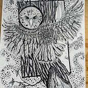 Mi proyecto del curso: Ilustración realista de pájaros con elementos creativos. Un proyecto de Dibujo a lápiz, Dibujo, Ilustración con tinta e Ilustración naturalista				 de Angelika Villalta Soto - 12.05.2024