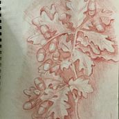 Classical Portrait Drawing: The Renaissance style. Fine Arts, Sketching, Drawing, Portrait Drawing, Realistic Drawing, and Artistic Drawing project by Deborah Quin - 05.18.2024