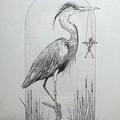 My project for course: Realistic Illustration of Birds with Imaginative Elements. Projekt z dziedziny Rysunek ołówkiem,  Rysunek,  Rysunek atramentem i Ilustracja naturalistyczna użytkownika tsyganochka - 19.05.2024