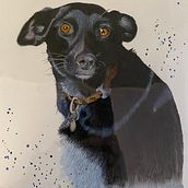 Pup anxiety. Watercolor Painting project by Brigitte Fabi - 05.20.2024
