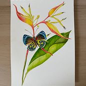 Mi proyecto del curso: Ilustración naturalista con gouache y acuarela Ein Projekt aus dem Bereich Bildende Künste, Malerei, Aquarellmalerei, Botanische Illustration, Naturalistische Illustration und Gouachemalerei von camila espitia - 20.05.2024