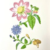 Mi proyecto del curso: Acuarela realista para composiciones botánicas. Ilustração tradicional, Pintura, Desenho, Pintura em aquarela e Ilustração botânica projeto de mariajmerino - 20.05.2024