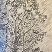 30 - DAYS - SKETCHBOOK - CHALLENGE. Projekt z dziedziny Trad, c, jna ilustracja, Kreat, wność, R i sunek ołówkiem użytkownika Almuth Jung - 22.05.2024