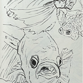 Mein Abschlussprojekt für den Kurs: Tägliches Sketching für kreative Inspiration. Projekt z dziedziny Trad, c, jna ilustracja, Sketching, Kreat, wność,  R, sunek i Sketchbook użytkownika Almuth Jung - 22.05.2024