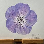 My project for course: Botanical Watercolor Illustration: Cross-hatching Technique. Fine Arts, Painting, Watercolor Painting, and Botanical Illustration project by armaundrell - 05.22.2024