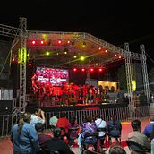 SONIDO BICHINAS. Un proyecto de Música, Publicidad, Diseño y Fotografía de Judith Galván Pérez - 22.05.2024