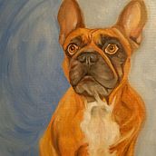 My project for course: Realistic Pet Portraits with Oil Painting. Een project van  Beeldende kunst, Schilderij,  Olieverfschilderij y Naturalistische illustratie van serpecane - 23.05.2024
