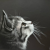El gato.. Drawing project by Alisa Sorokina - 04.25.2022