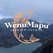 Mi proyecto del curso: Edición Wenu Mapu . Un progetto di Video editing e Postproduzione audiovisiva di Matias Pantano - 23.05.2024
