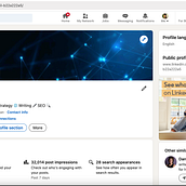 LinkedIn profile optimization . % sameersohail2099 tarafından hazırlanan Markalaşma ve Kimlik, İletişim, Ve Yazma projesi - 05.23.2024