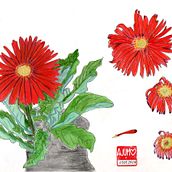 Mi proyecto del curso: Sketchbook botánico: una aproximación meditativa. Un proyecto de Ilustración tradicional, Bocetado, Dibujo, Pintura a la acuarela, Ilustración botánica y Sketchbook de Ana Moreno - 26.05.2024