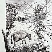 Mi proyecto del curso: Ilustración con tinta y plumilla: captura el mundo natural. Un progetto di Bozzetti, Disegno, Disegno artistico, Sketchbook, Illustrazione con inchiostro e Illustrazione naturalistica di toquinho9 - 27.05.2024